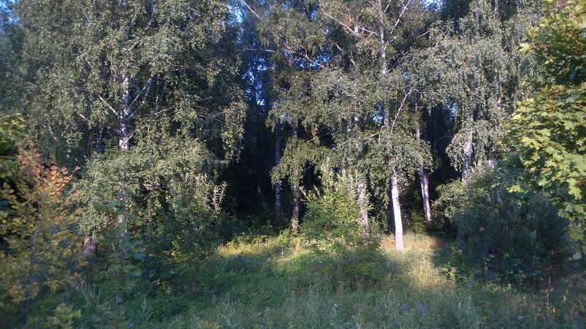 Природа родного края