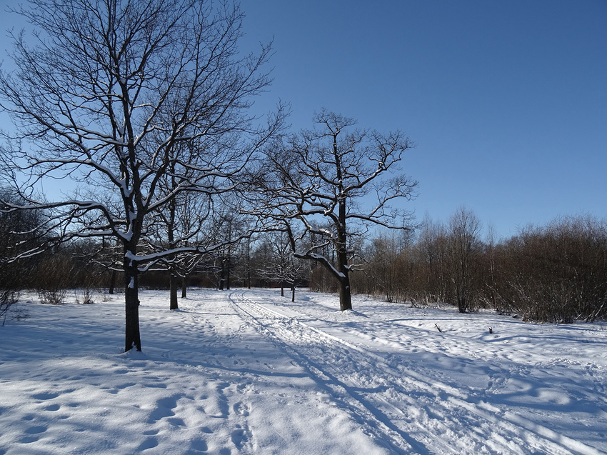 Баболовский парк