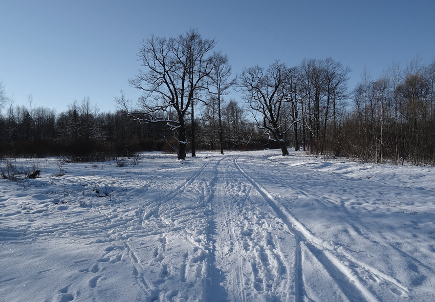 Баболовский парк