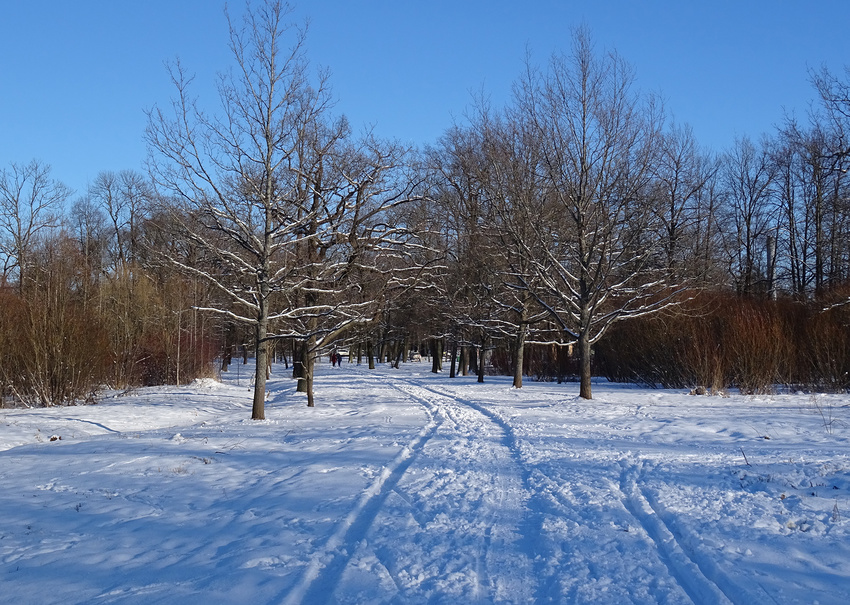 Баболовский парк