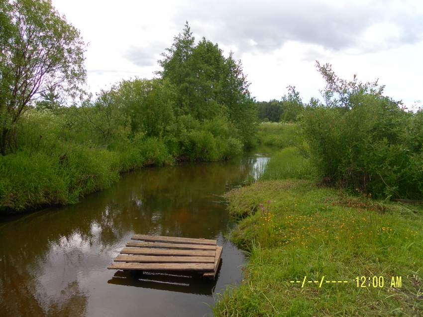 Полоскалка на Куме