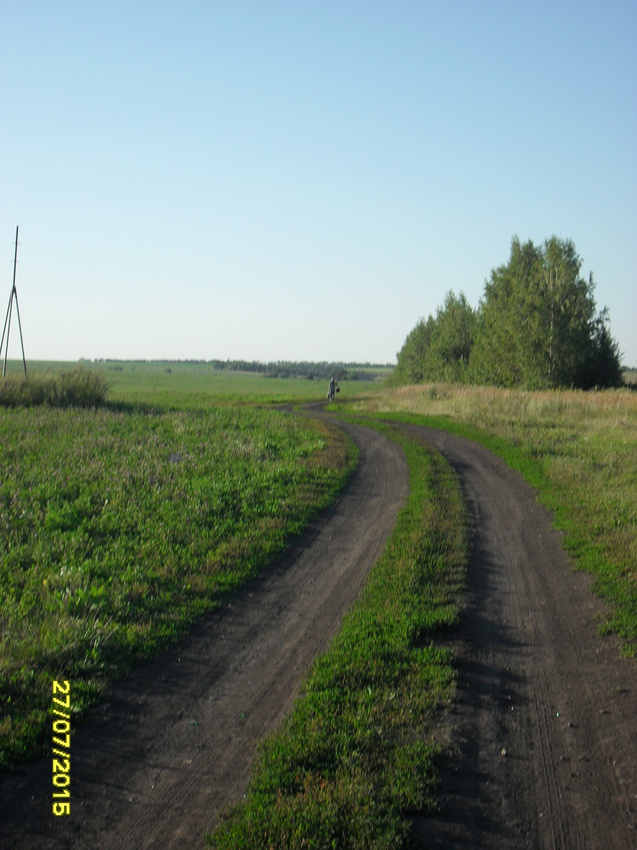Дорога на Пушкино