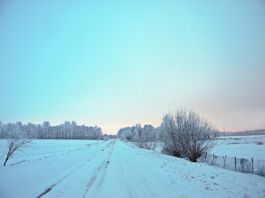 Дорога в село Богородицкое