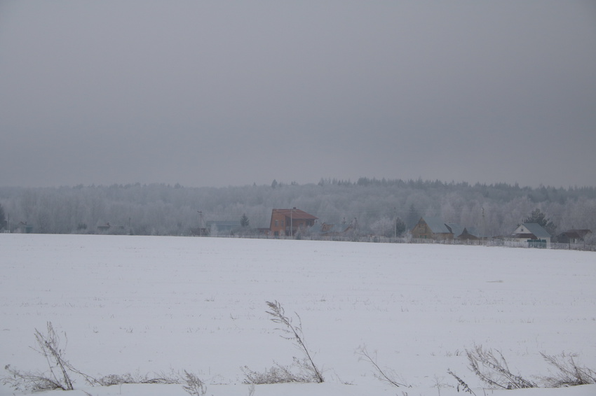 СНТ Лесные Поляны