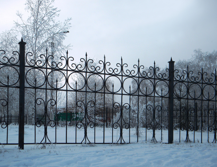 Природа села Богословка