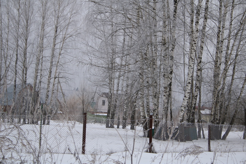 СНТ Севастополь-2
