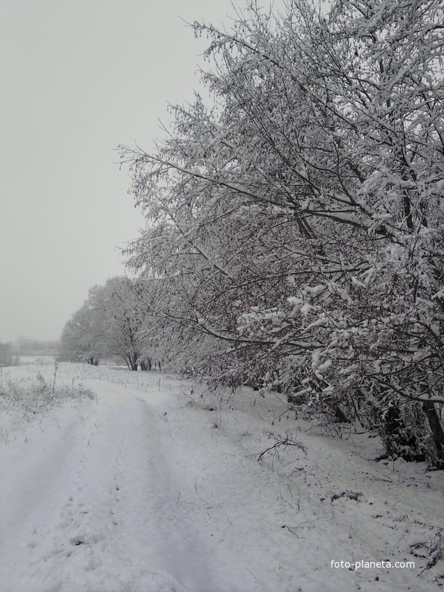 зима вПодгорной 2011г