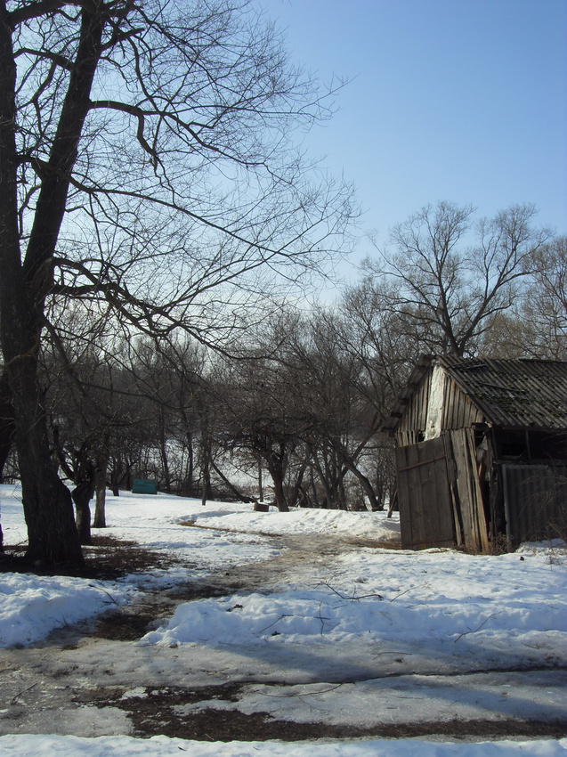 Дорога в сад