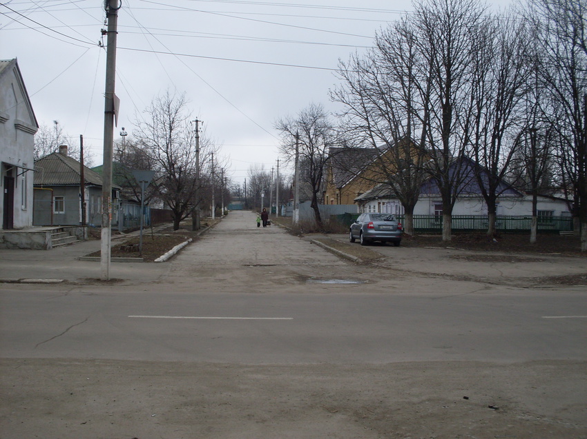 Синельниково.Улица Шевченко.Вид на восток .Февраль 2016.