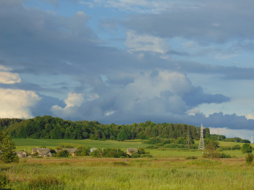 Розановщина