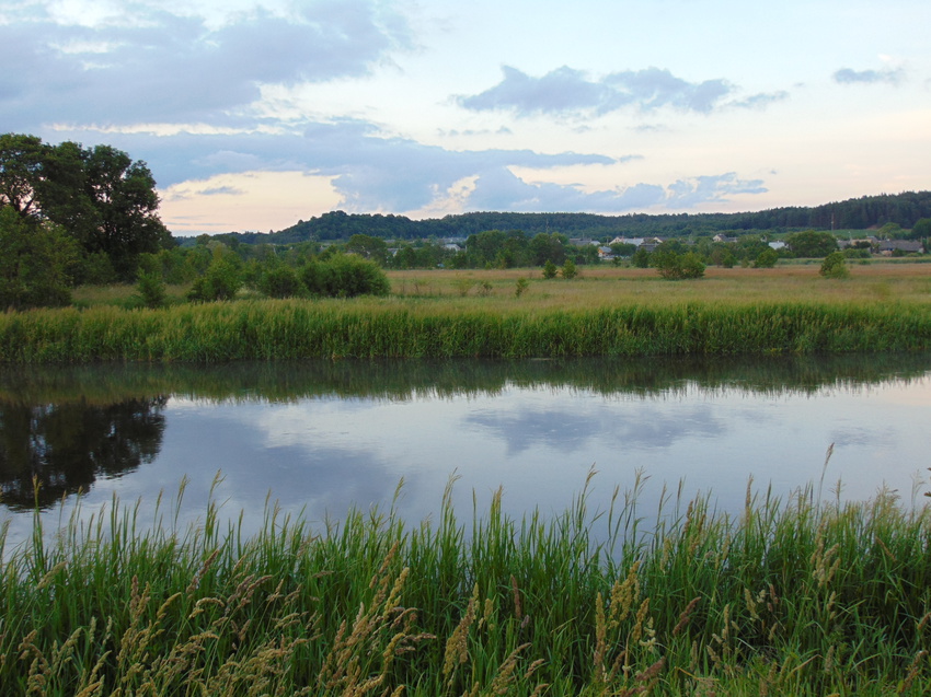 Розановщина