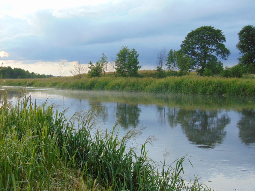 Розановщина