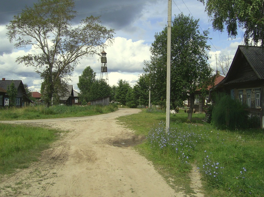 д. Русениха Перед грозой