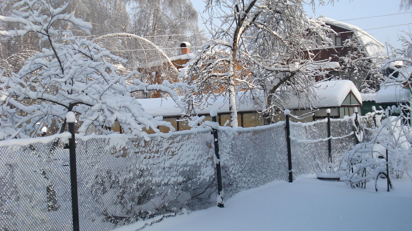 зима в Купавне