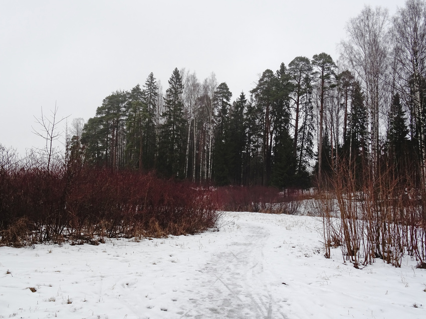 Павловский парк. Март.