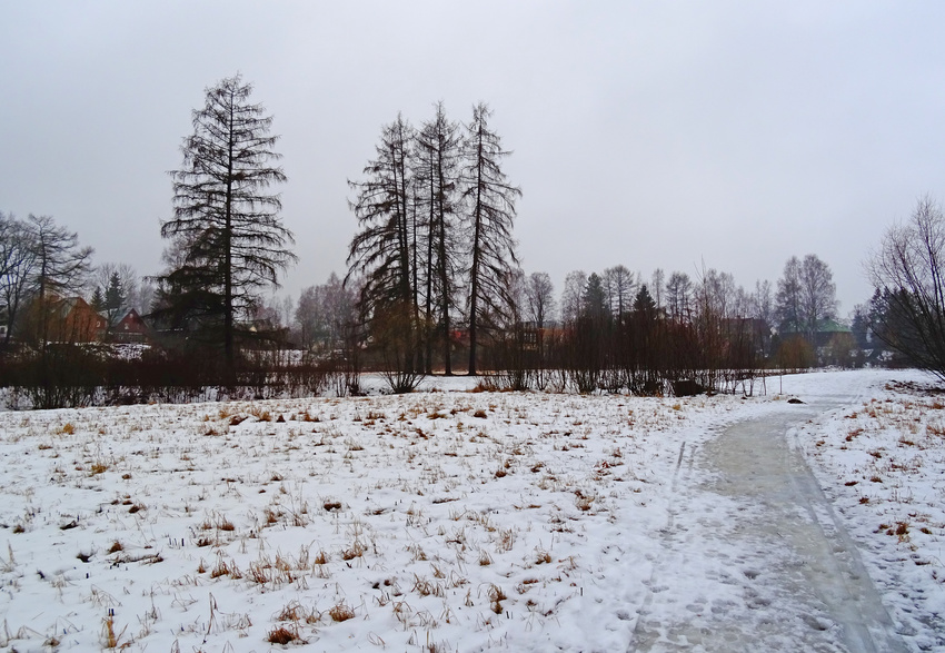 Павловский парк. Март.