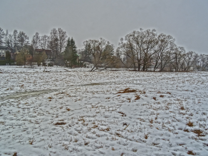Павловский парк. Март.