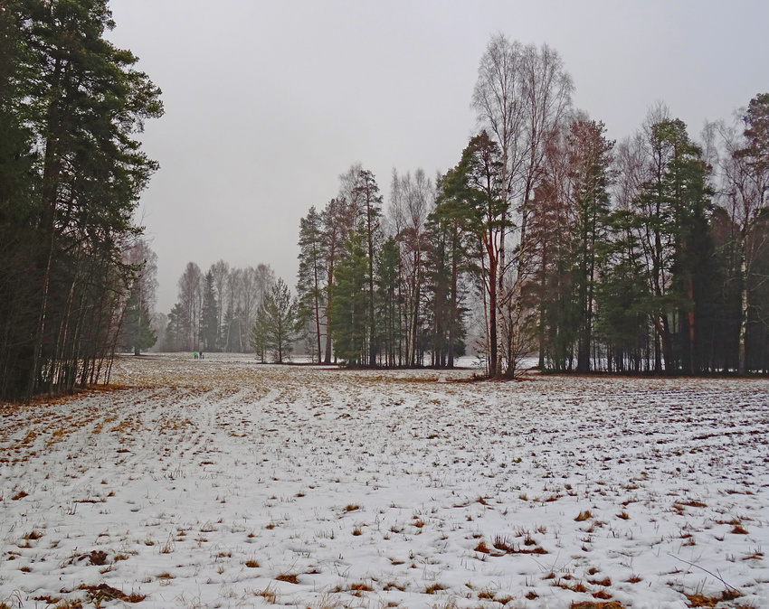 Павловский парк. Март.