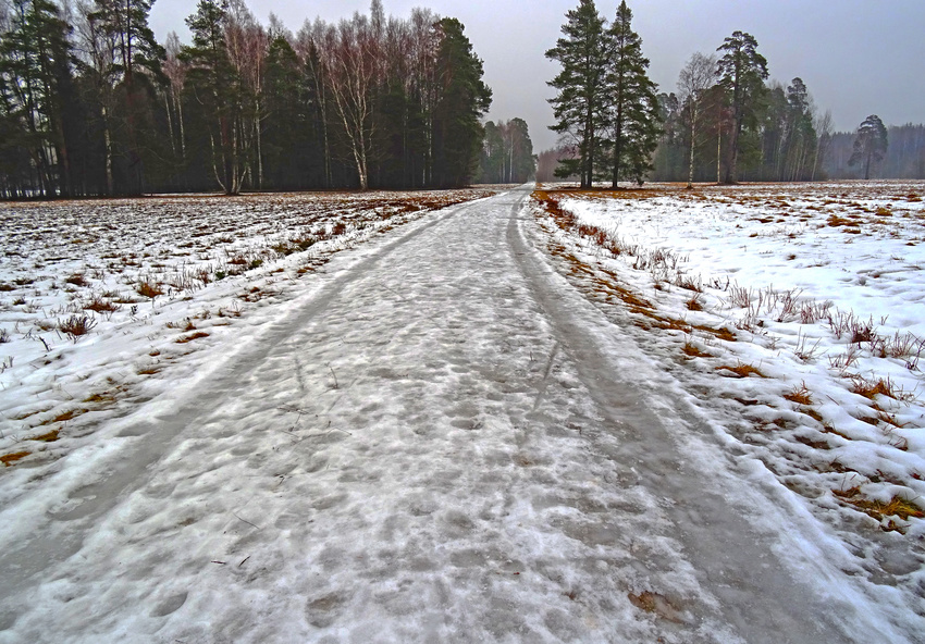 Павловский парк. Март.