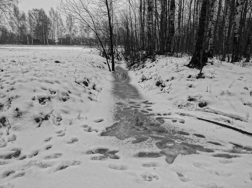 Павловский парк. Март.