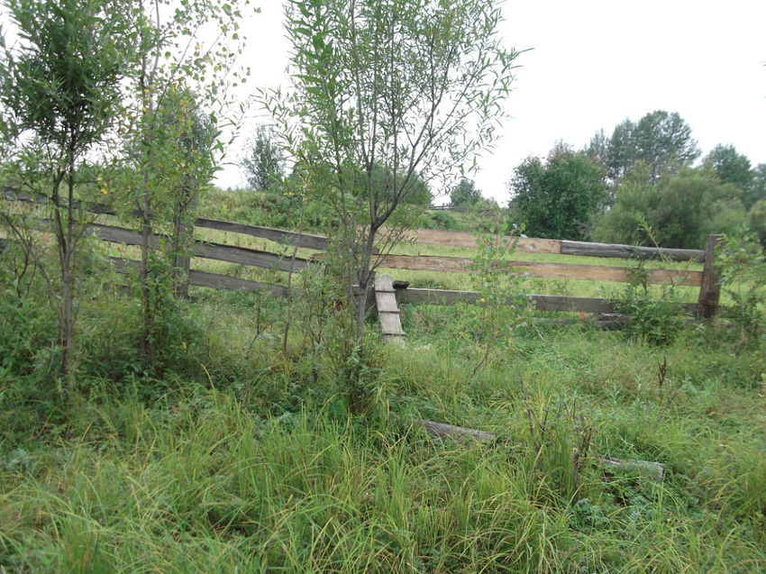 Родной мосток.