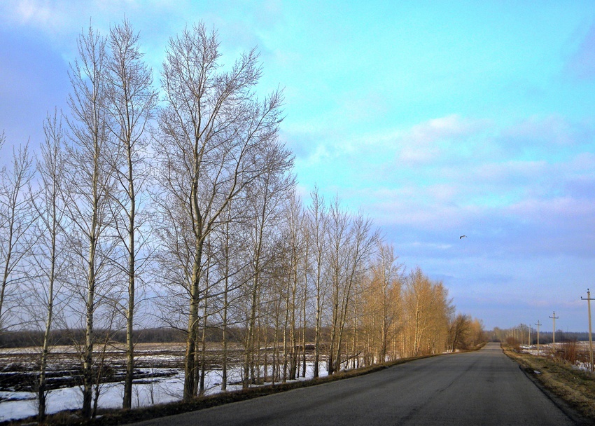 Дорога в село Красное