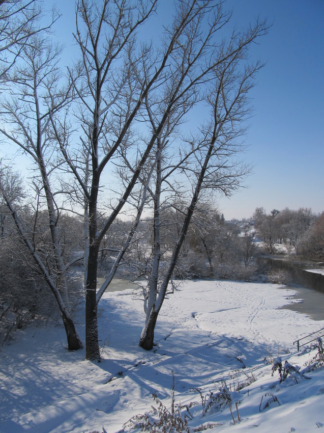 Зимова краса