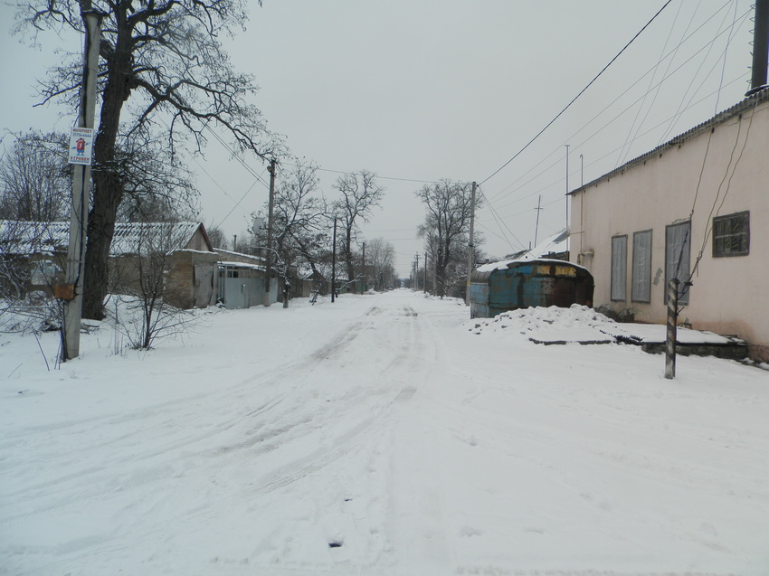 Синельниково.22.03.16. Улица Жлобы.Вид на запад от ул.Петровского.