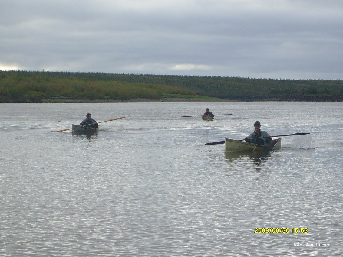 гонка на коноях