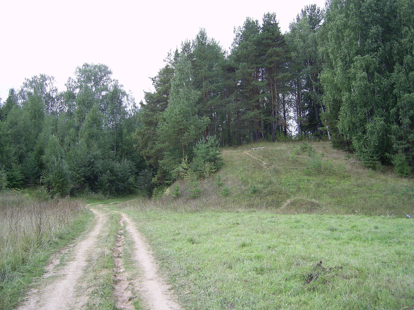 д. Асташиха - дорога с реки.