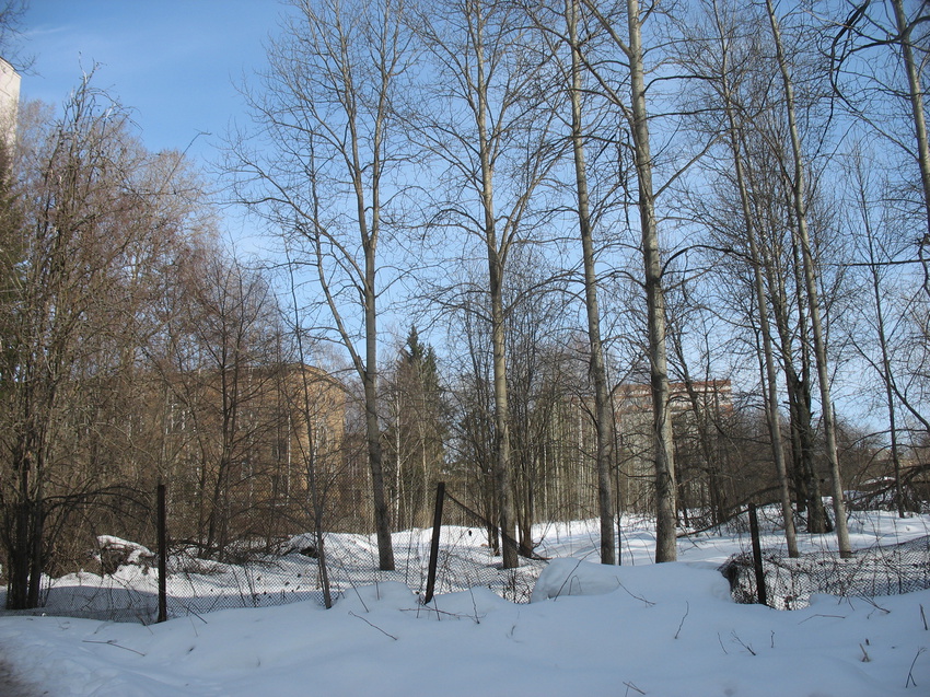 Сыктывкар 2016