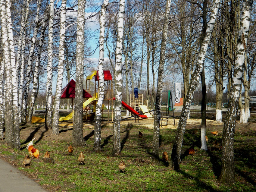 В парке села Кощеево