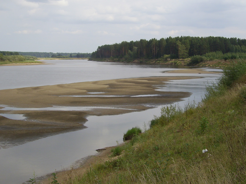 Река Ветлуга ниже д. Благовещенское