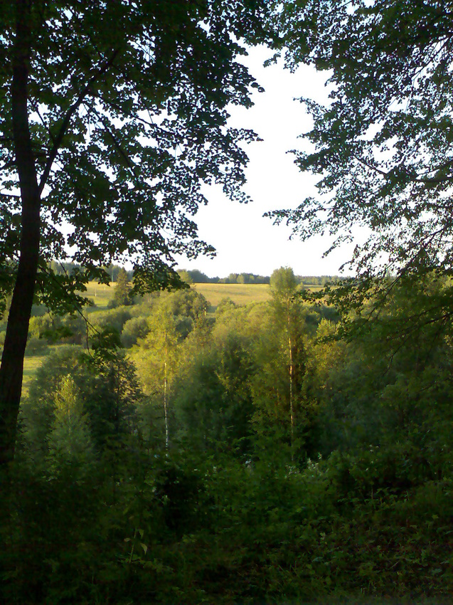 Вид из парка