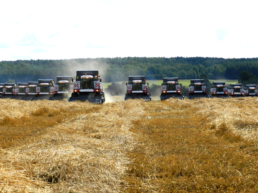 День поля-2016