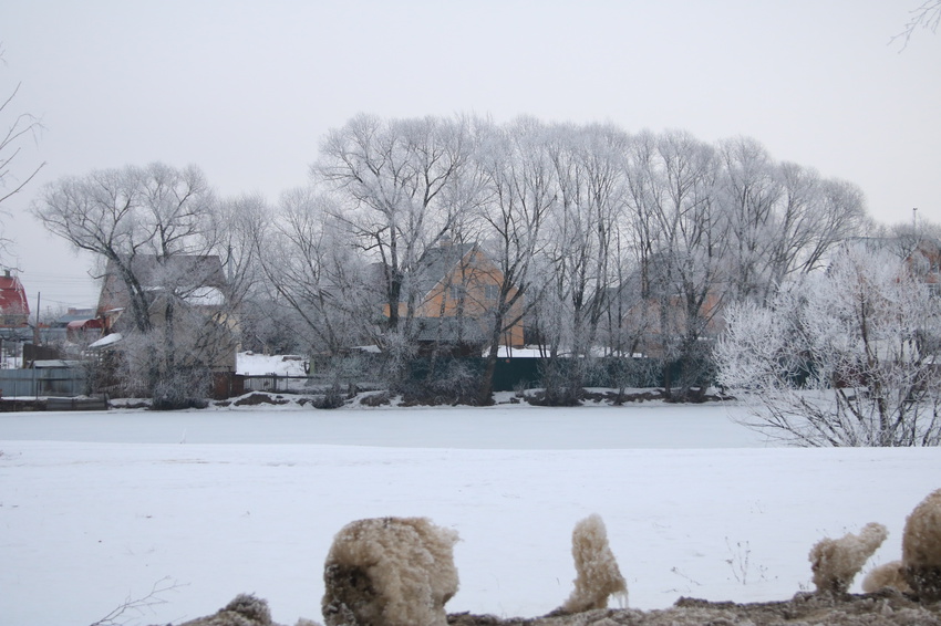 Вельяминово