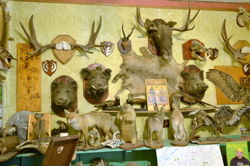 Частная коллекция председателя местного общества охотников и рыболовов. Станица Клетская.