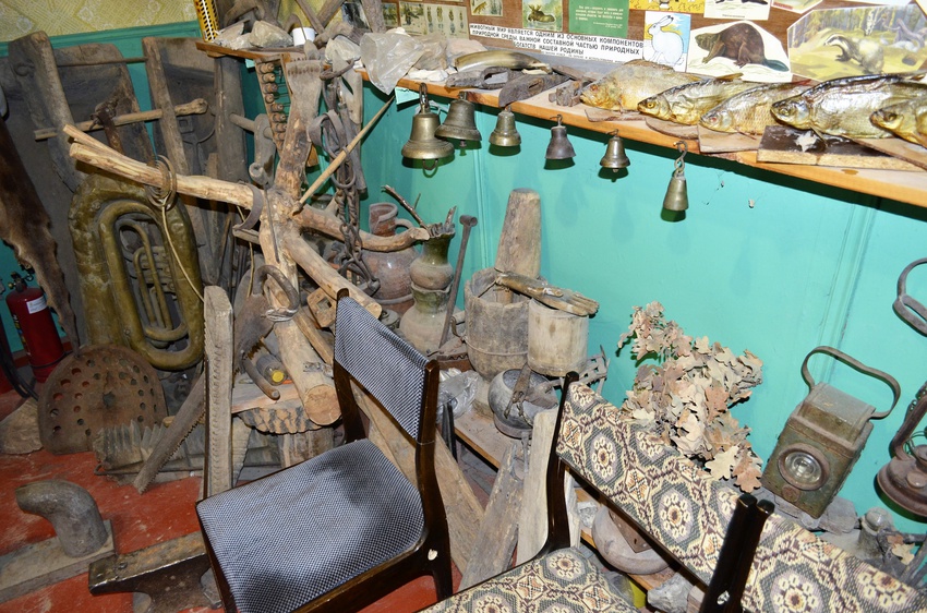 Частная коллекция председателя местного общества охотников и рыболовов. Станица Клетская.