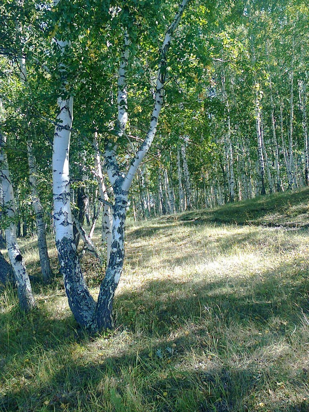 Фото учалинского района