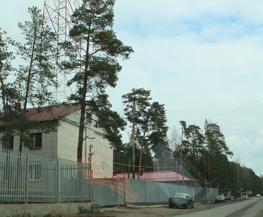Поселок лебяжье ленинградской области