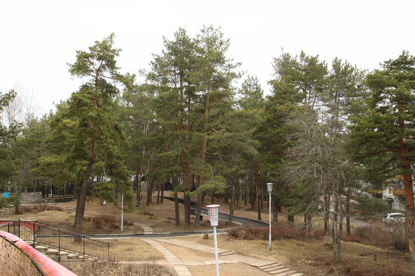 Сосновый Бор