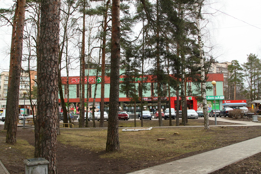 Сосновый Бор