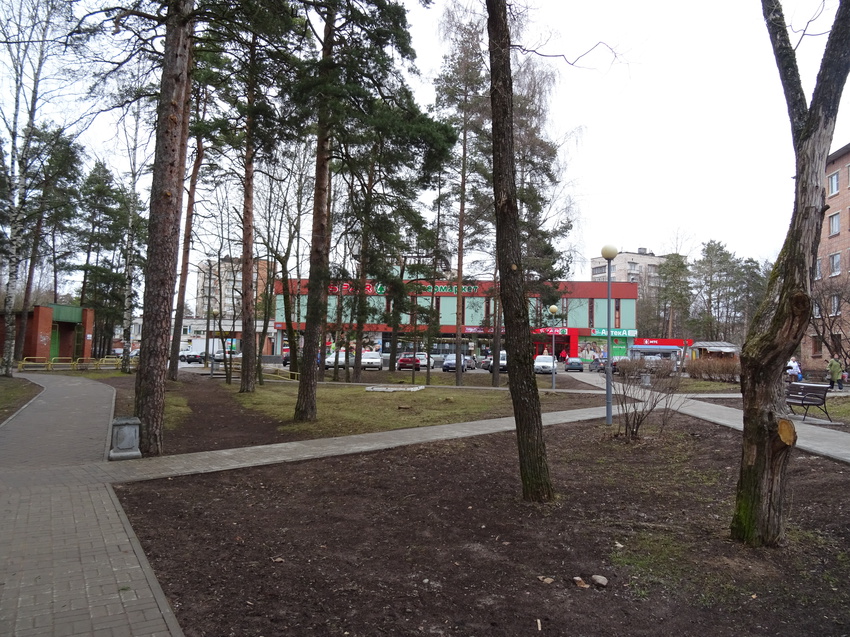 Сосновый Бор