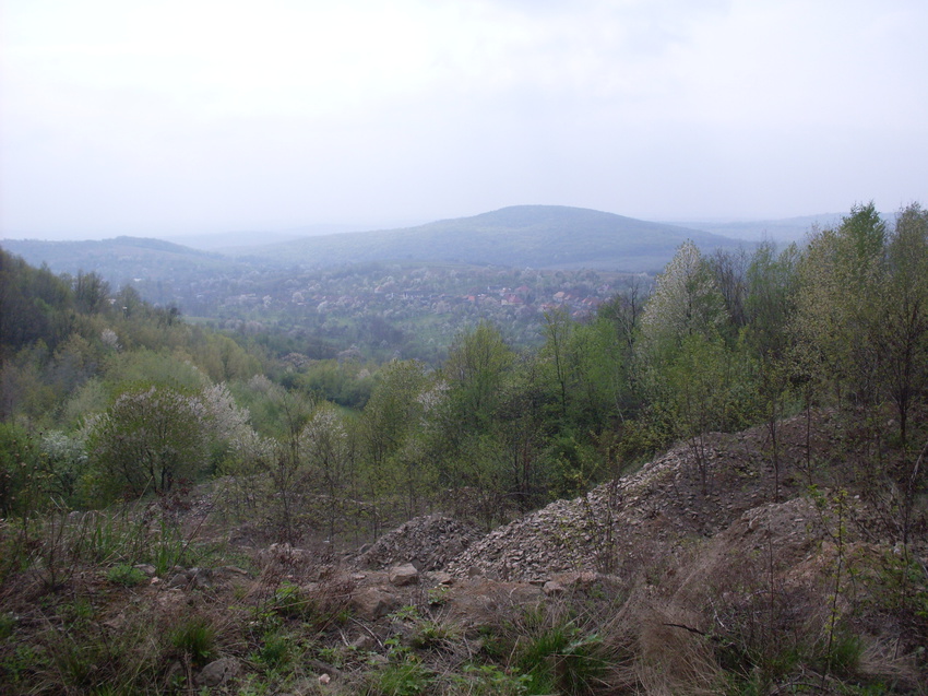 Панорама села із Куруцикової бані