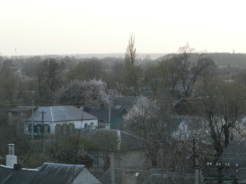 Синельниково.12 апреля 2016 года. Вид на запад с переходного моста станции Синельниково-І.Цветущий абрикос.