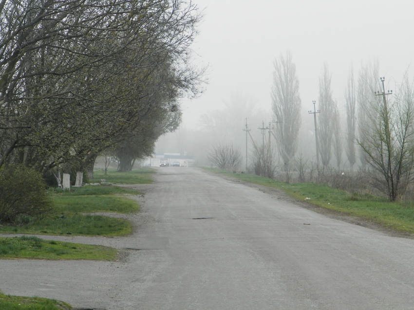 Синельниково.14 апреля 2016 года.Туман.Улица Воинов-Интернационалистов,вид на восток от Переулка Абрикосового .