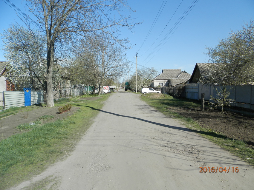 Синельниково.Цветущая улица Воровского.Вид на восток от Харьковской.