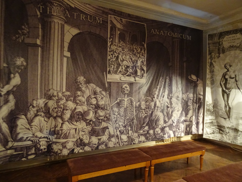 Военно-медицинский музей