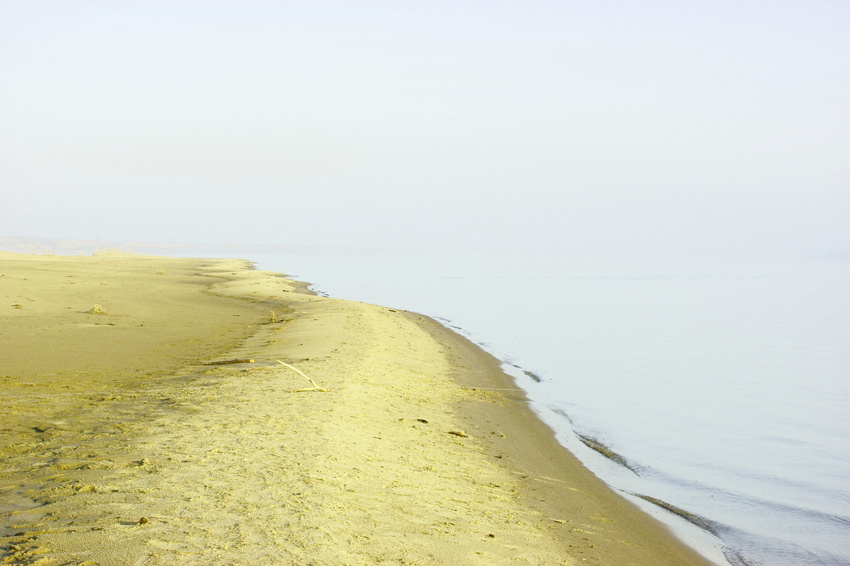 Туманное утро на песчаном острове у поселка Цаган-Аман. Волга