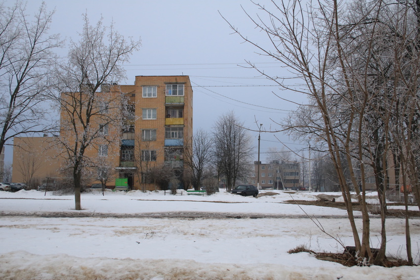 Село Вельяминово, Школьная улица